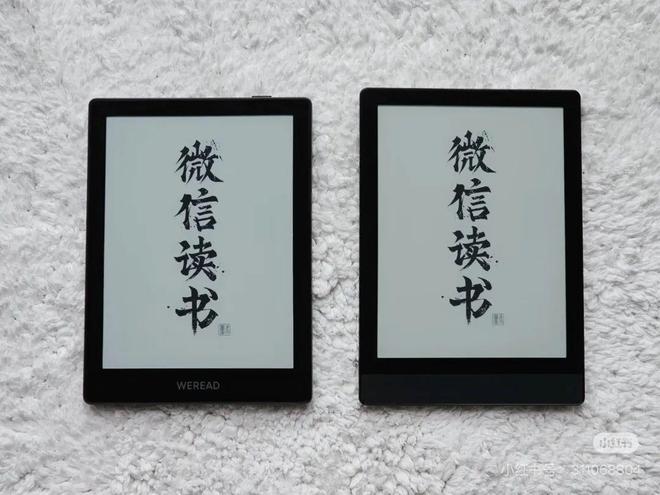 贴身肉搏”今年阅读器市场有多卷？不朽情缘平台登录网页文石、掌阅“(图4)